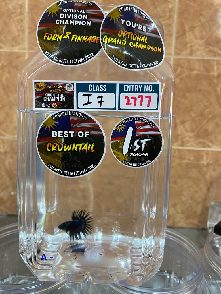 betta